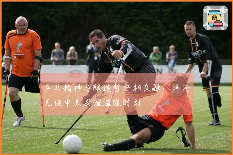 乒乓精神与酿造哲学相交融，洋河见证中美友谊温暖时刻