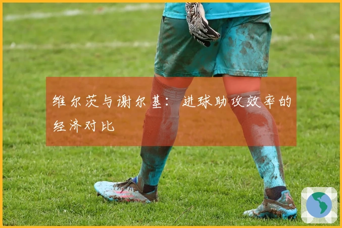 维尔茨与谢尔基：进球助攻效率的经济对比