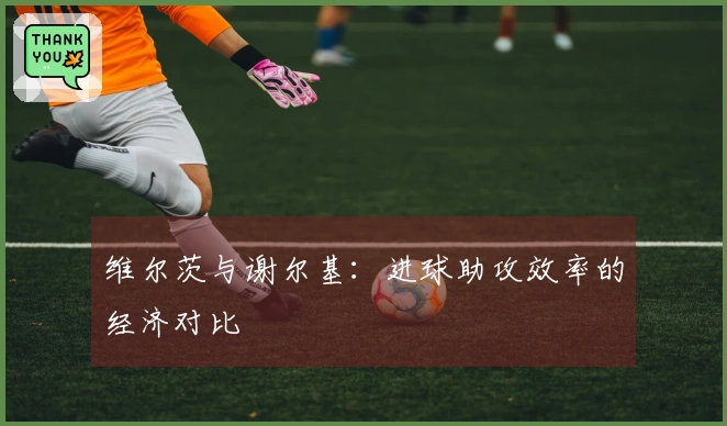 维尔茨与谢尔基：进球助攻效率的经济对比